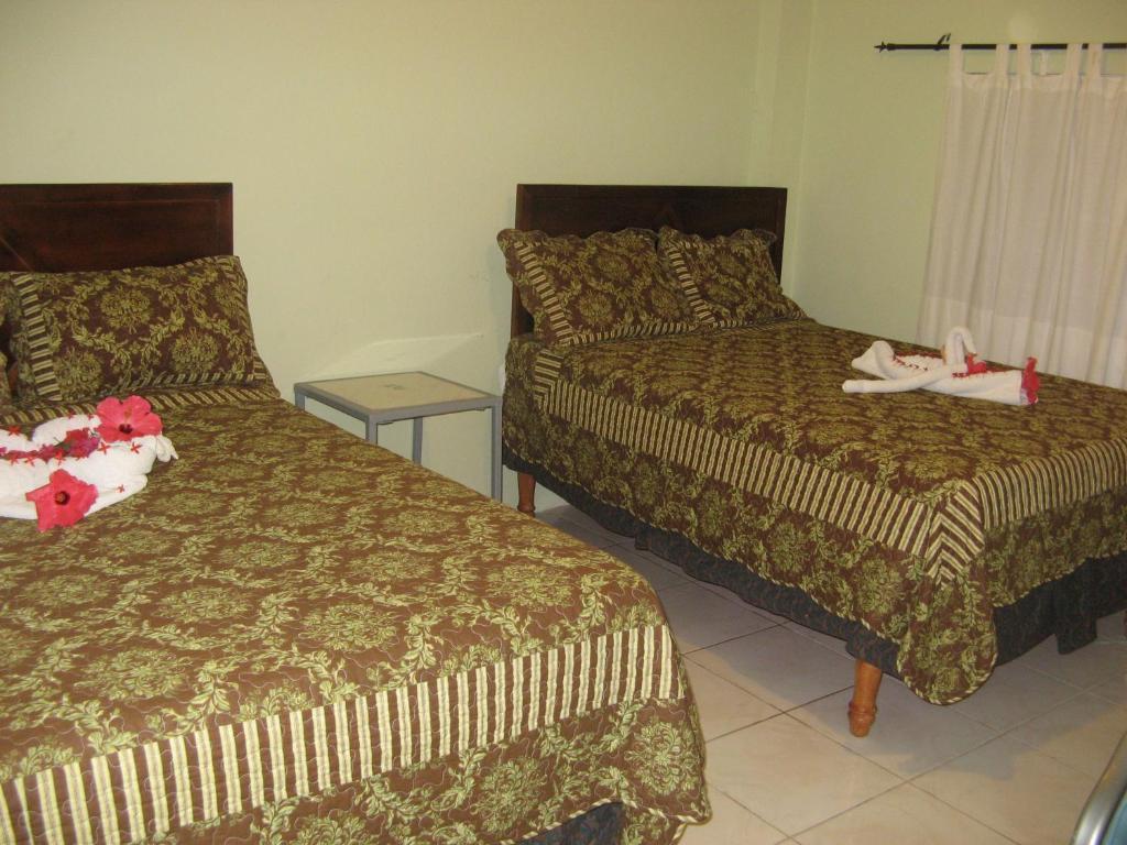 Executive Shaw Park Guest House Ocho Ríos Habitación foto
