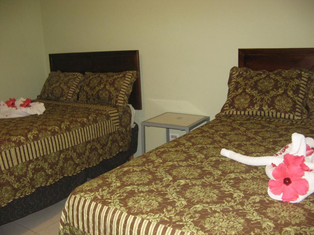 Executive Shaw Park Guest House Ocho Ríos Habitación foto