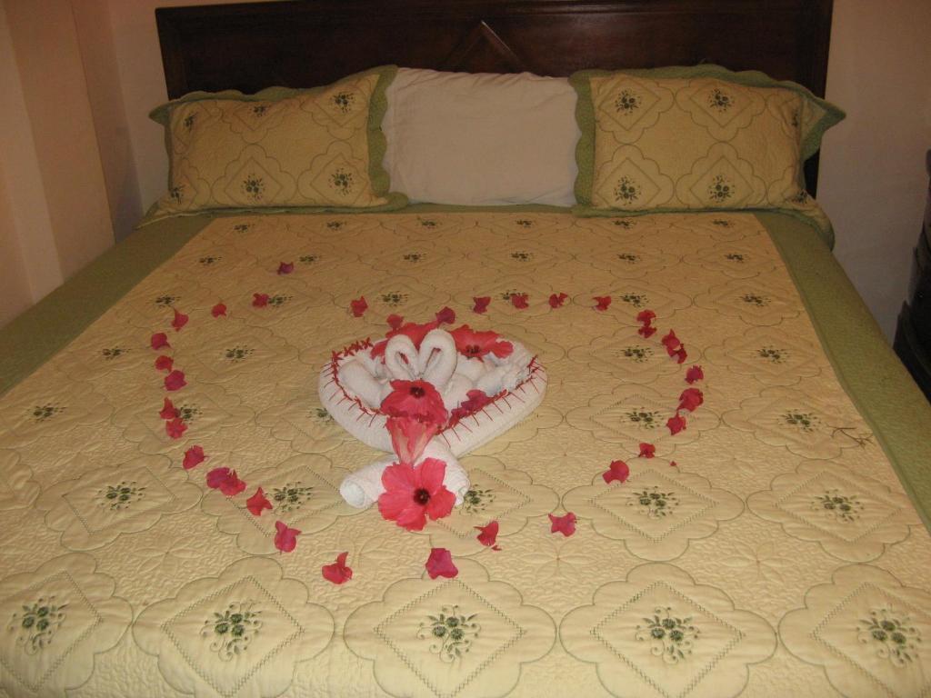 Executive Shaw Park Guest House Ocho Ríos Habitación foto