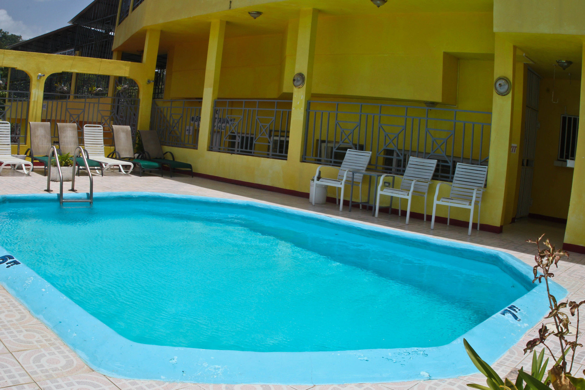 Executive Shaw Park Guest House Ocho Ríos Exterior foto