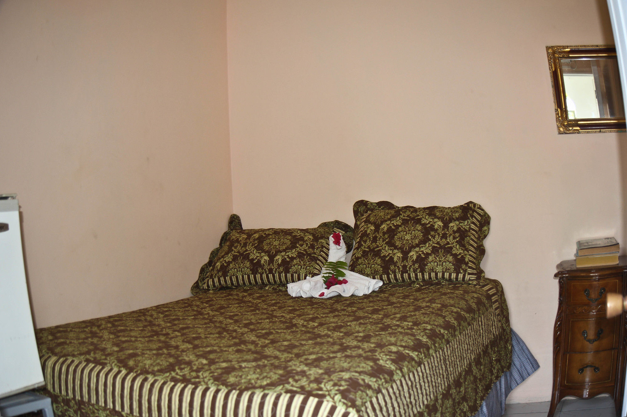 Executive Shaw Park Guest House Ocho Ríos Exterior foto